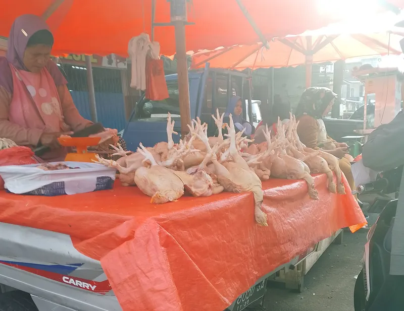 Harga Komoditas Cabai dan Ayam di Bengkulu, Turun