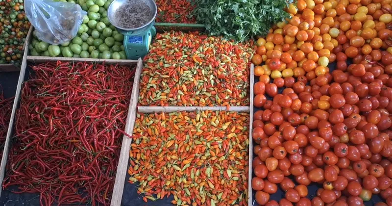 Faktor Cuaca Penyebab Harga Cabai Rawit di Bangka Rp90 Ribu per Kilogram