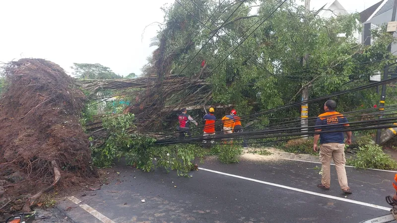 Angin Kencang disertai Hujan Robohkan Sejumlah Bangunan dan Tumbangkan Puluhan Pohon di Badung Bali