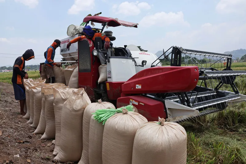 HPP Gabah RP6.500/KG Diharapkan Dapat Mendongkrak Kesejahteraan Petani