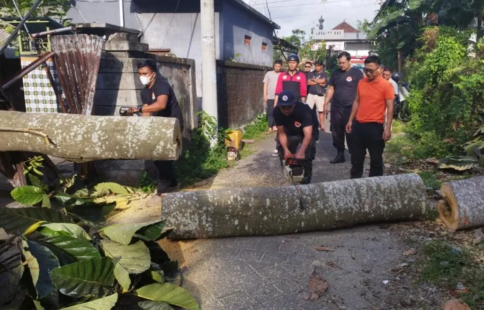 Sampai 13 Februari, Bali Waspada Angin Kencang Hingga 60 km per selai
