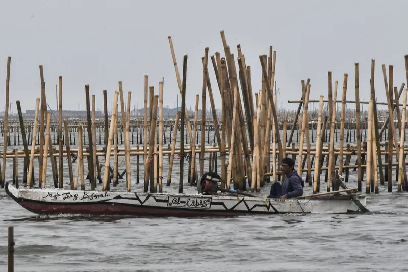 KKP Apresiasi Pembongkrara Pagar Laut Secara Mandiri