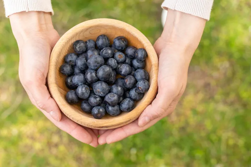 12 Manfaat Blueberry untuk Kesehatan, Bagus untuk Diet