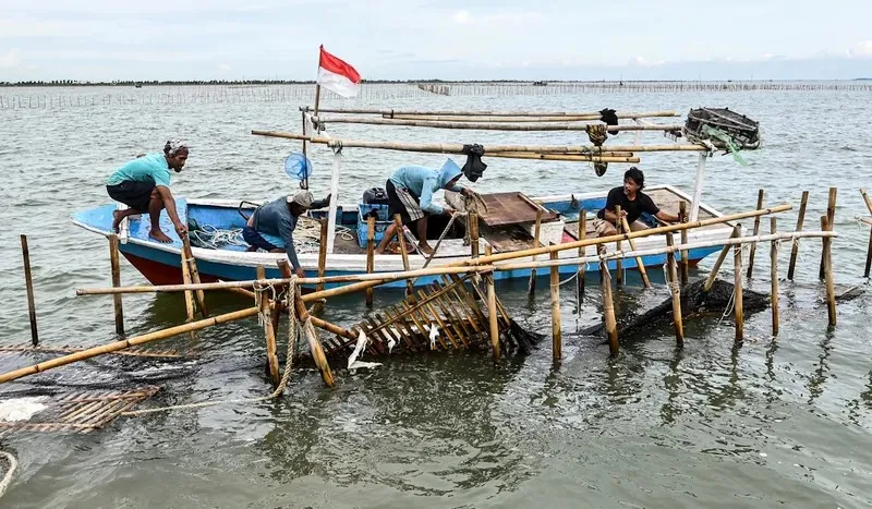 Polisi Ungkap Ada Dugaan Keterlibatan Pegawai Kementerian Pada Kasus Sertifikat Pagar Laut Tangerang