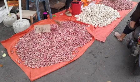 Harga Bawang Naik, Cabai Turun di Bengkulu