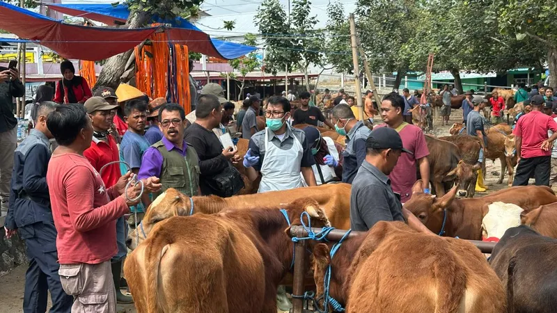 652 Ribu Dosis Vaksin PMK Tahap 2 Didistribusikan ke Jawa Timur