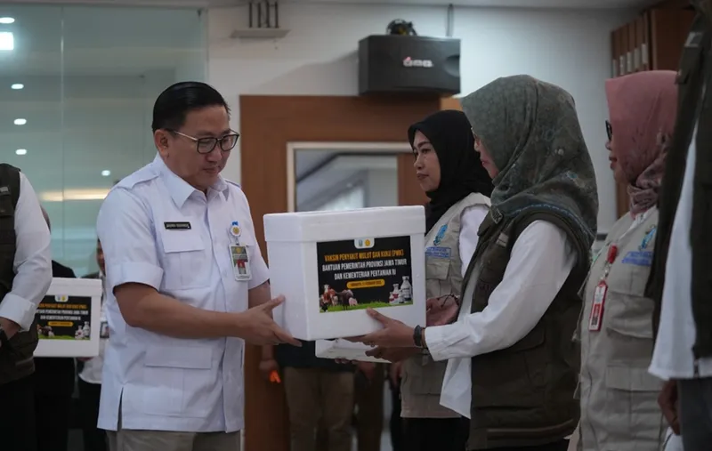 Kementan Distribusikan 652 Ribu Dosis Vaksin PMK Tahap 2 ke Jawa Timur