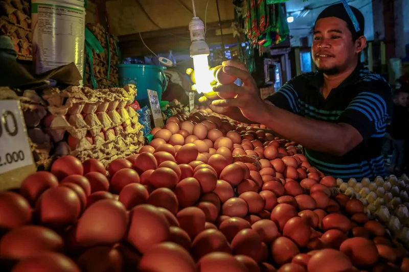 Harga Telur Stabil, Peternak Siap Pasok Kebutuhan Ramadan dan Lebaran