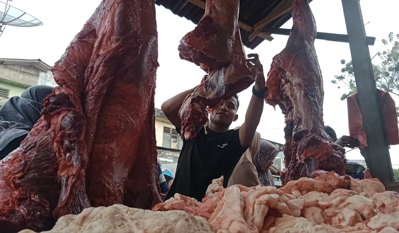 PEMERINTAH BERENCANA CARI VENDOR BARU UNTUK PERHAKIAN DAGING KERBAU