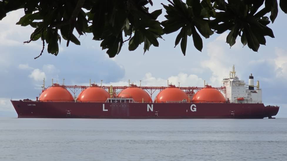 DSLNG Pasok Gas Domestik