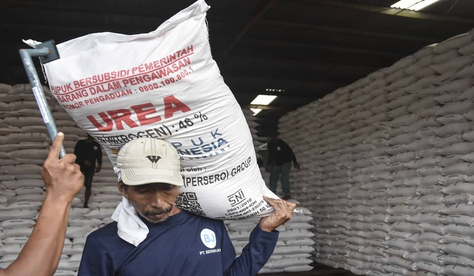 Presiden Prabowo Pangkas Harga Pupuk Subsidi Ringankan Beban Petani