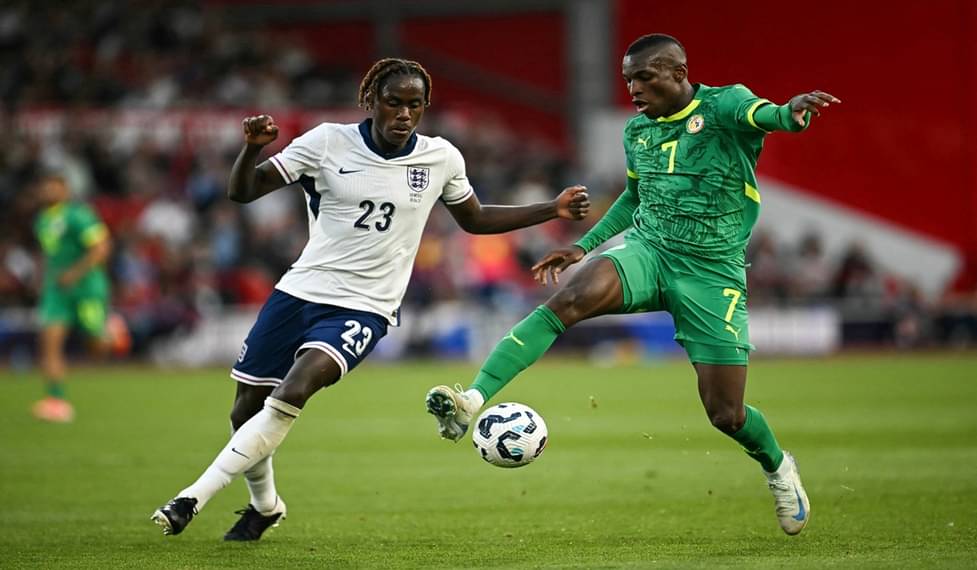 Yalangoch mini anden fotosurati