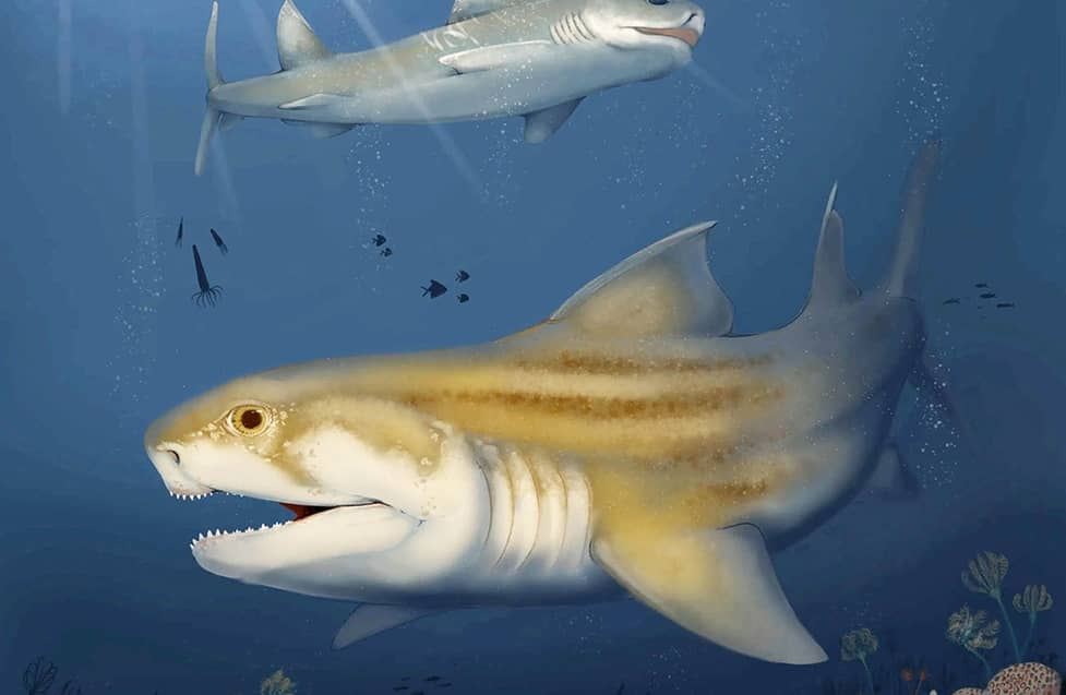 Dua Predator Purba yang Punah 325 Juta Tahun, Muncul Kembali 4 Dua Predator Purba yang Punah 325 Juta Tahun, Muncul Kembali