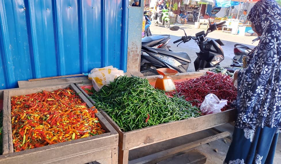 Harga Cabai di Bengkulu, Turu Jadi Rp30 ribu per Kilogram