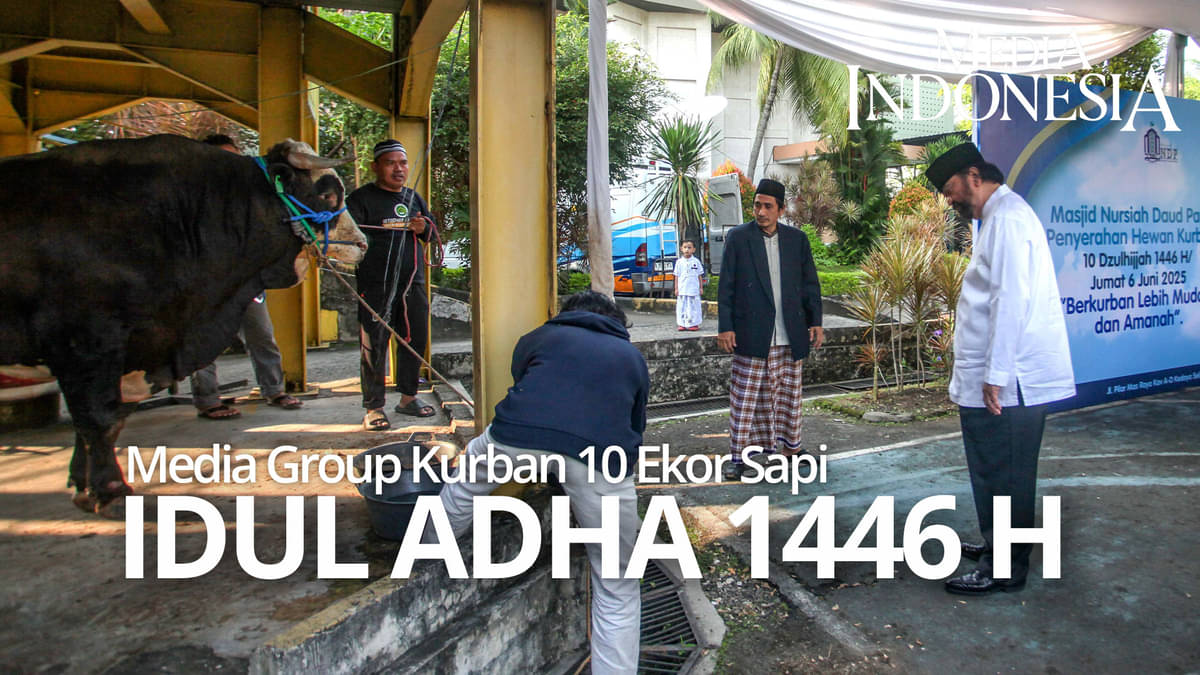 Media Group Kurban 10 Ekor Sapi